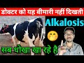 Alkalosis treatment in cow  buffalo  alkalosis in cattle  hivit injection  rumen fs  hada vet 