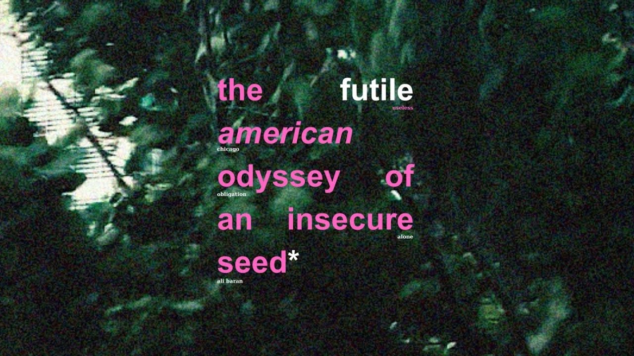 the futile american odyssey of an insecure seed
