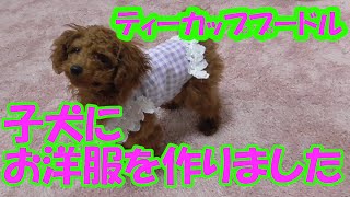 【洋服】ティーカッププードルの子犬にお洋服作りました☆【裁縫】