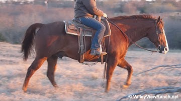 Solanos Saskadoc***For info, price, etc., go to our website*** Valley View Ranch