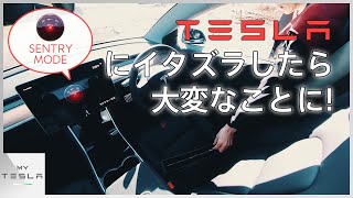 テスラにイタズラしてはいけない理由【セントリーモードの威力】