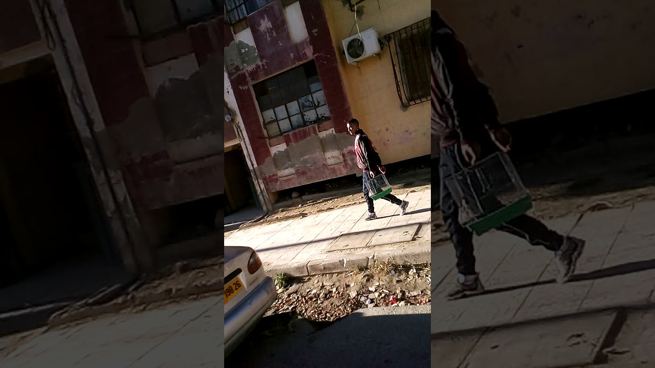 جولة في حي الزبرة