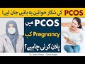 Pregnancy With PCOS | PCOS Ke Sath Hamal Kab Tehrana Chahie