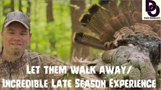 Incredible Late Season Turkey Hunting Experience Let Them Walk Away