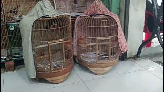 Sunday 11/16...09.87.81.96.98....122/15 Bui Dinh Tuy, Ward 12, Binh Thanh District