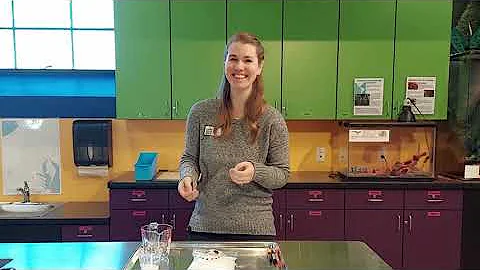 Exploding Snowman Experiment!