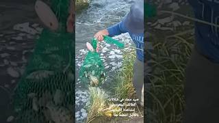 صيد الاسماك في شلالات الطائف السعودية fishing