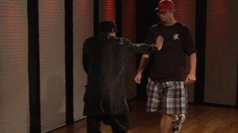 Praying Mantis Kung Fu  Fighting : Praying Mantis Kung Fu: Downward Block Palm Strike