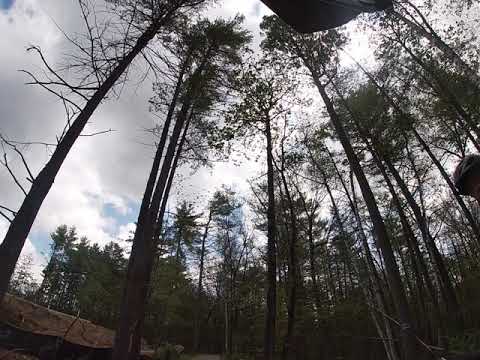 Rush pond Uncas