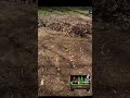 Spring clean up!