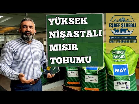 Video: Küflü Mısır Tohumları