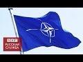 Что такое НАТО за 80 секунд - BBC Russian