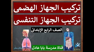 الجهاز التنفسى l لجهاز الهضمىl قناة مدرسة بابا عادل