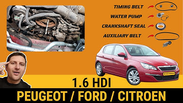Peugeot 308 Timing Belt Replacement - How To Do It & Why You Should!