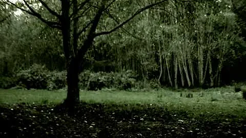 Usal Beach California. HD test JVC GZ HD7.