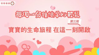 【第三周】寶寶的生命旅程 在這一刻開啟