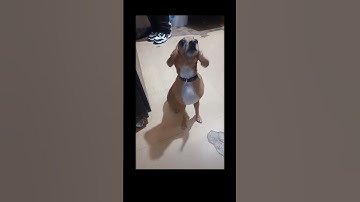 #random #video #shorts #ai