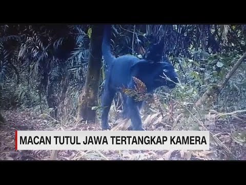 Video: Tasik di wilayah Sverdlovsk: percutian yang menakjubkan dan memancing yang hebat