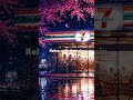 Rainy Cherry Blossom ☔ Lofi to Study & Focus #shorts #lofi · Calm Edition