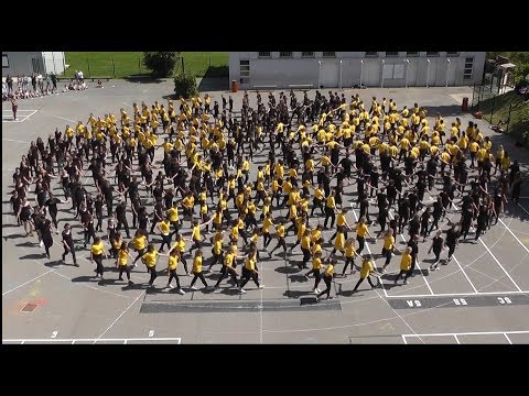 FLASHMOB CONTRE LE CANCER, Collège Philéas Lebesgue, Marseille en Beauvaisis, Oise, France