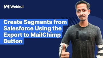 Create Segments from #Salesforce Using #Export to #MailChimp Button | MailChimp Salesforce Connector