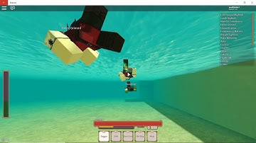 Hackers again this game is busted, Rogue Lineage