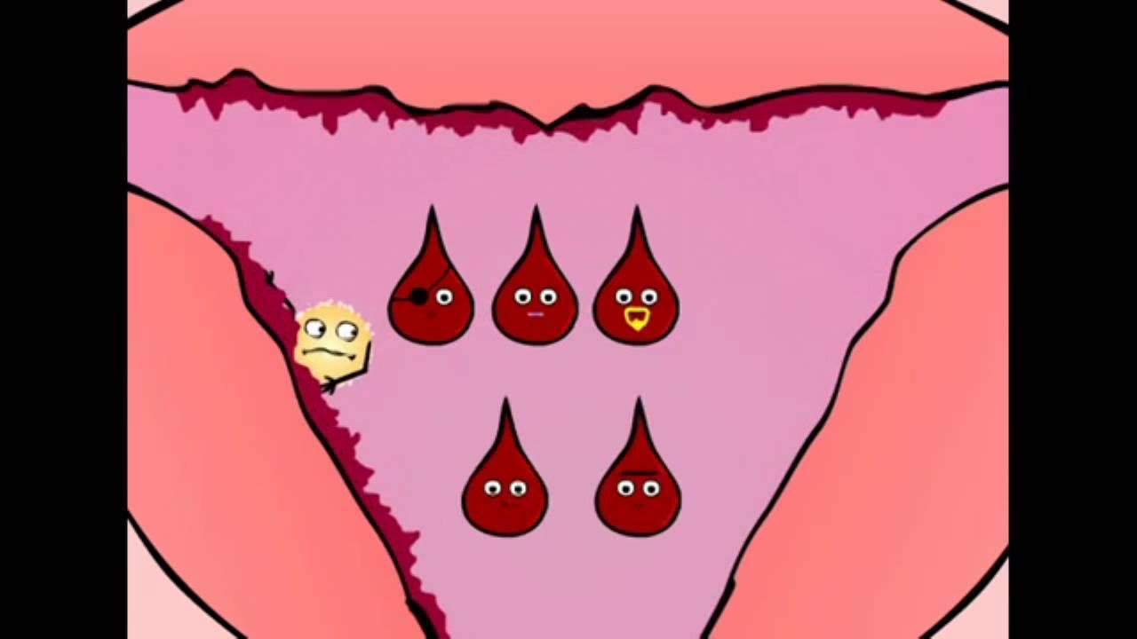 Месячные лайфхаки советы для девочек. Месячный видео снято. Месячный видео снято. Картинки месячных у женщин. Месячный видео снято.