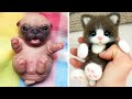 Cute Baby Animals Videos Compilation | Funny and Cute Moment of the Animals #17 - Cutest Animals