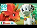 Paw Patrol - La Squadra dei Cuccioli | 60 MINUTI mai visti prima della Squadra dei Cuccioli!