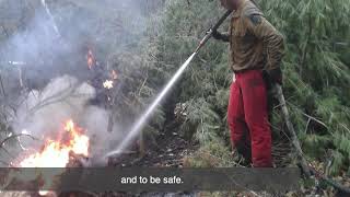 Forest fire awareness