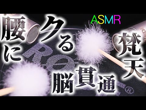 【ASMR】梵天で鼓膜をヂリヂリ擦り脳を左右から貫通させる耳掃除の音♡肌理の細やかなポップガードで羽毛のプツプツ千切れる音が心地良いひたすら高音圧なマイクブラッシング♪ハンドマドラー・綿手袋【音好き】