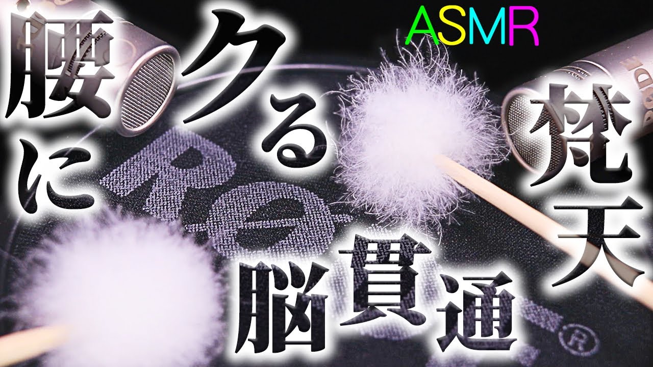 【ASMR】梵天で鼓膜をヂリヂリ擦り脳を左右から貫通させる耳掃除の音♡肌理の細やかなポップガードで羽毛のプツプツ千切れる音が心地良いひたすら高音圧なマイクブラッシング♪ハンドマドラー・綿手袋【音好き】