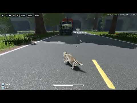 This is a weird game... (Roblox rakoon)
