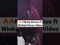 Nicky Genius ft Winky D - kumusoro