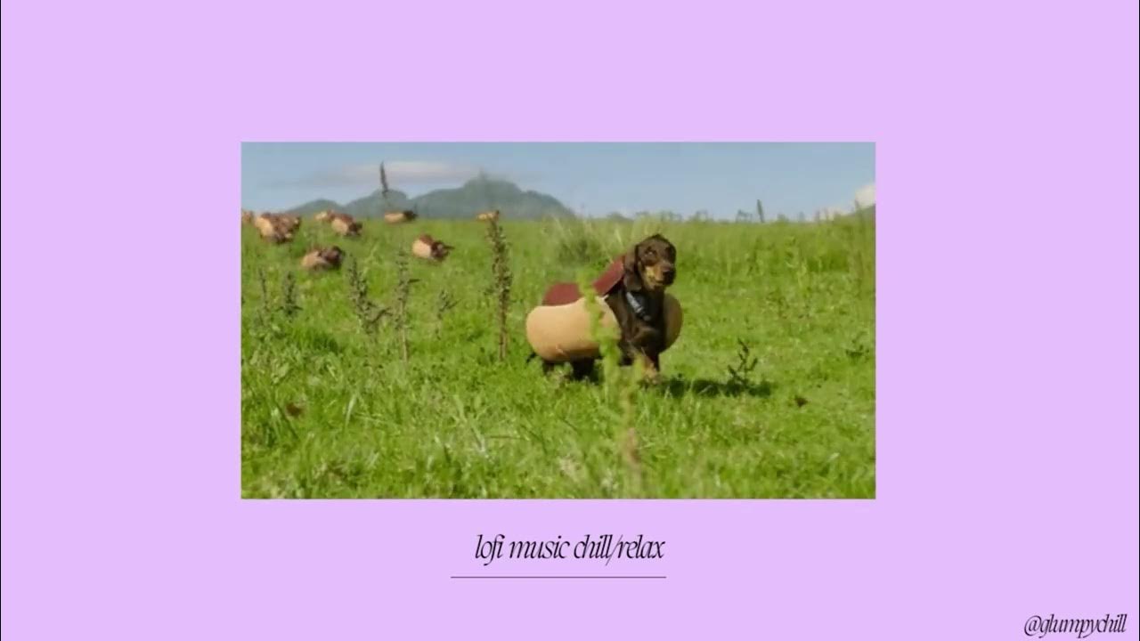 lofi-music-for-chill-calming-anxiety-weiner-dogs-in-hot-dog-costumes