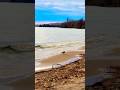 Seagull, Lake Nipissing, Ontario, Canada. 🇨🇦