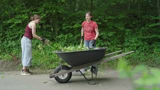 Putney Summer Arts - Life Outside Of Workshops