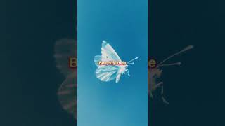 Rüya - Yandım Ama Sönmem İçimde 🔥 (Unuturum Sandım Short)