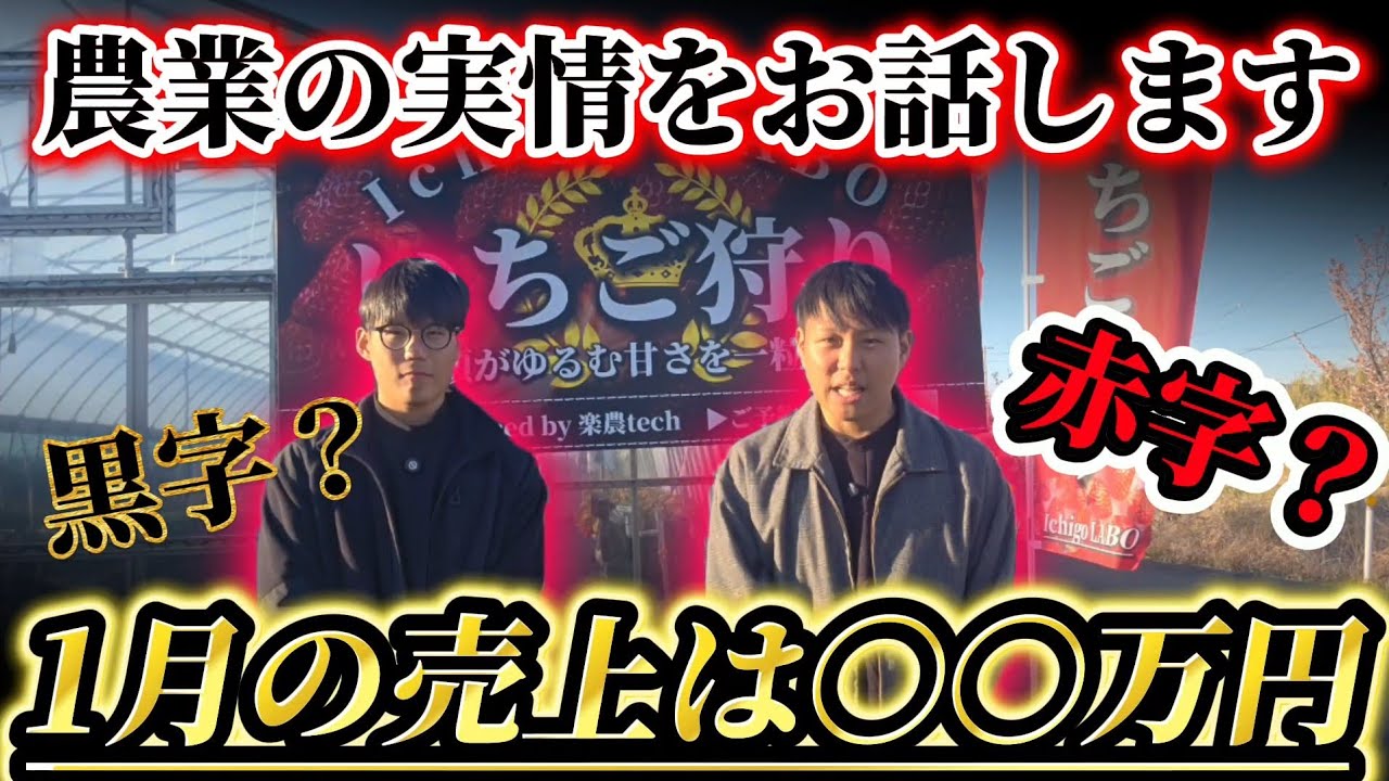 【売上発表】1月の売上は〇〇万円でした！！もう後に引けません...