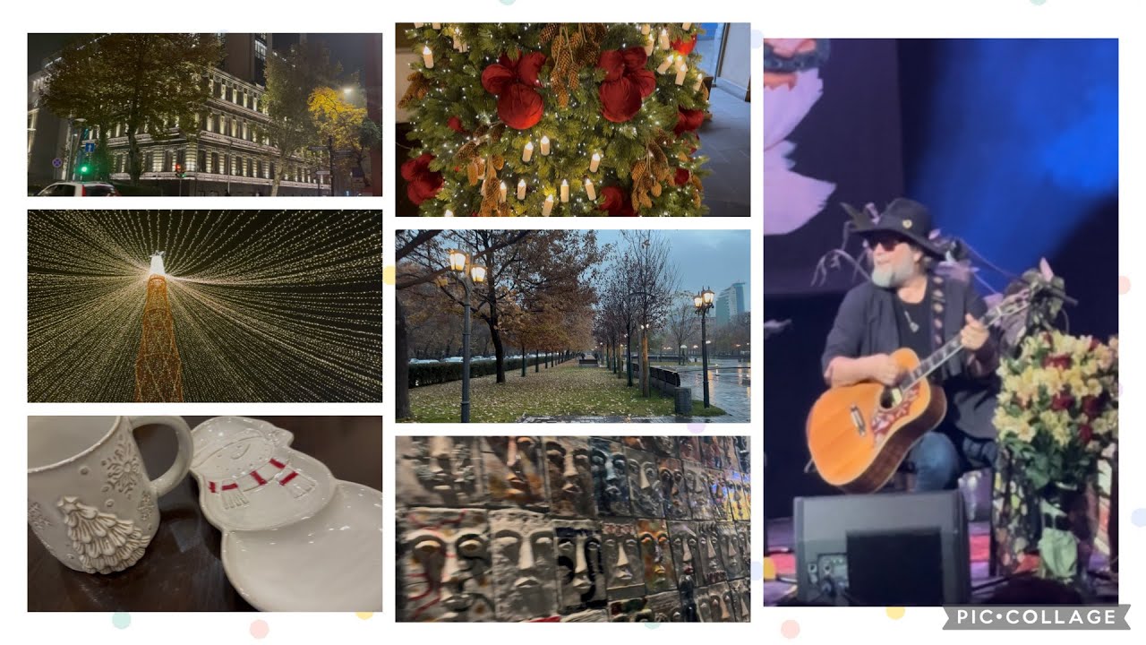 Ереван Влог. Концерт Бориса Гребенщикова И Новогодняя Ярмарка. #новыйгод #ереван 