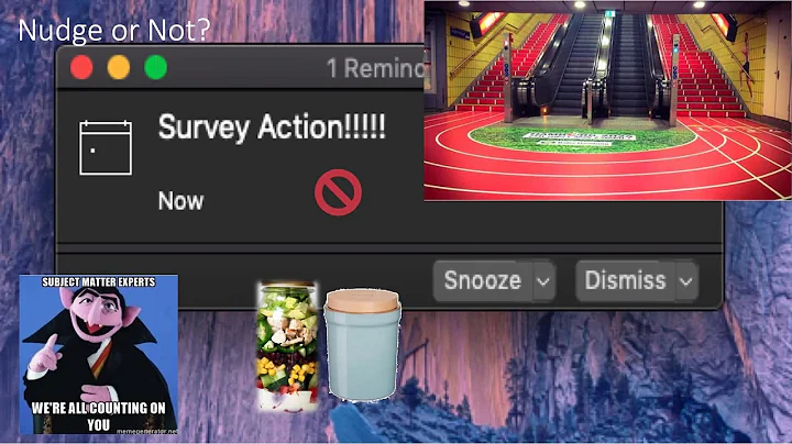 Optimizing your Survey  Nudging for Survey Action