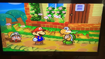 Playing Paper Mario Crashes Paper Mario
