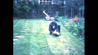 1982 Puppy Tetley - Last 2 Weeks Of Happy