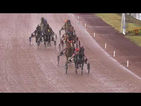 Bird Parker - Prix des Sables-d'Olonne - Les Sables-d'Olonne 19/07/18 - Bird Parker - Prix des Sables-d'Olonne - Les Sables-d'Olonne 19/07/18