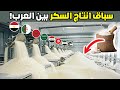 تقرير صادم لأكثر 10 دول منتجة للسكر في العالم العربي لعام 2025 لن تصدق من المركز الاول