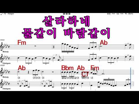 훨훨훨 이동하  가수처럼 엠알로 노래하기 남 원키 Fm