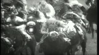 Horse named Lavandin wins the 177th Running Derby at Epsom Downs in Surrey, Engla...HD Stock Footage