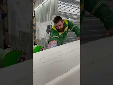 Сколько живут наши