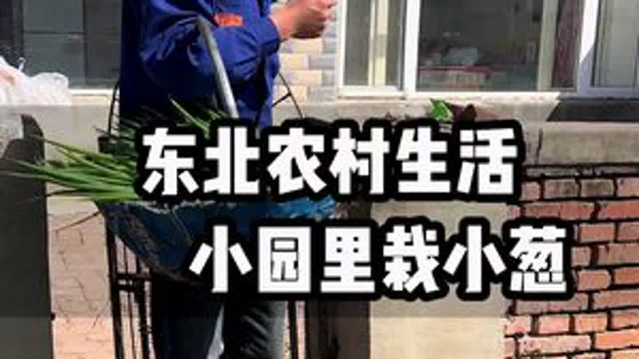 #我的乡村生活 #vlog日常 #记录我的农村生活