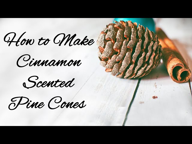 DIY Cinnamon-Scented Pine Cones